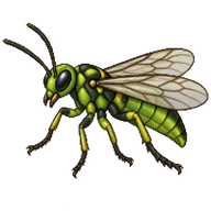 Common Green Sawfly