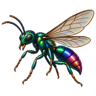 Splendid Metallic Wasp