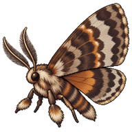 Shaded Fan-foot
