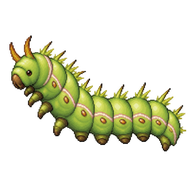 Japanese Oak Silkmoth Caterpillar