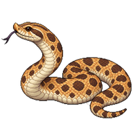 Western Hognose Snake