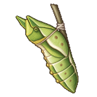 Pale Swallowtail Chrysalis