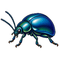 Blue Mint Beetle