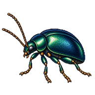 Flea Beetle