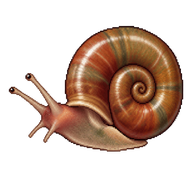 Marsh Ramshorn