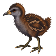 Bogotá Rail Chick