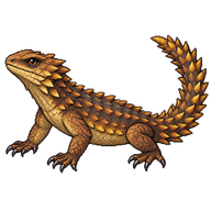 East African Spiny-tailed Lizard