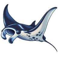 Giant Oceanic Manta Ray