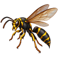 Four-toothed Mason Wasp