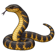 Tiger Snake