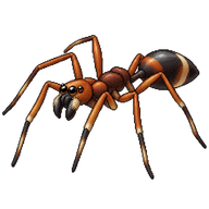 Ant-Mimicking Spider