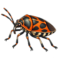 Cabbage Bug