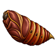 Lebeau's Rothschildia Pupa