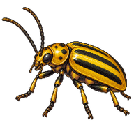 Canadian Goldenrod Leaf Beetle