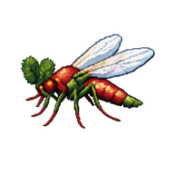Chironomid Midge