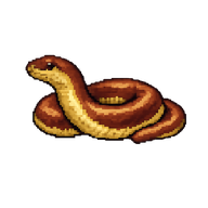 Rubber Boa