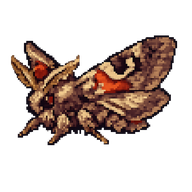 Noctuid Moth