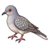 Diamond Dove