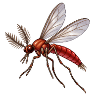 Non-biting midge