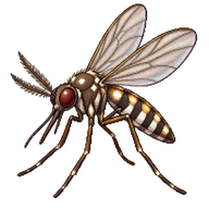 Ornate Biting Midge