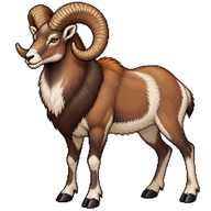 Mouflon