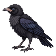 Rook Fledgling