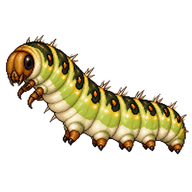 Yucca Giant-Skipper Caterpillar