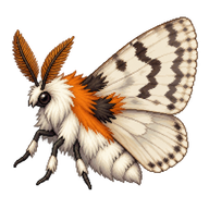 Hickory Tussock Moth