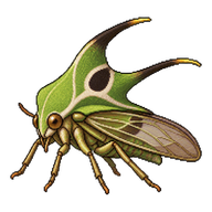 Locust Treehopper