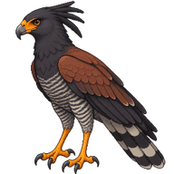 African Harrier-Hawk