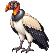 King Vulture