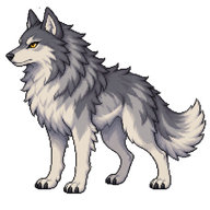 Wooly Gray