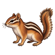 Least Chipmunk