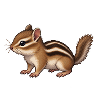 Least Chipmunk Pup