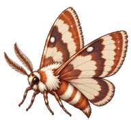 Grapevine Moth Caterpillar