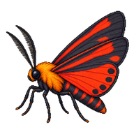 Scarlet-winged Lichen Moth