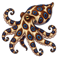 Coconut Octopus