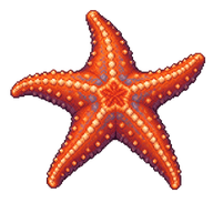 Bat Star
