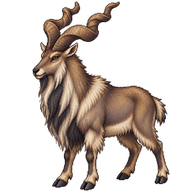 Markhor
