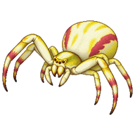 Crab Spider