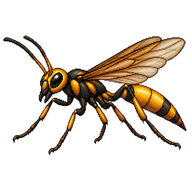 Great Golden Digger Wasp
