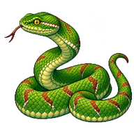 Wagler's Pit Viper