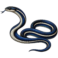 Blue Malayan Coral Snake