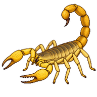 Deathstalker Scorpion