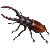 Giraffe Stag Beetle