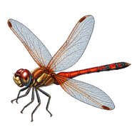 Ground Skimmer