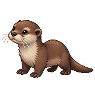 Eurasian Otter Pup