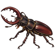 Giant Stag Beetle