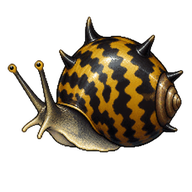 Horned Nerite Snail
