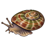 Flat Top Shell